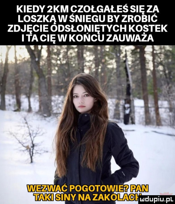 kiedy  km czołgałes się za loszką w śniegu by zrobic zdjęcie odsłoniętych ko stek ita cię w koncu zauważa d i za. z iż. abakankami. a ludupiupl
