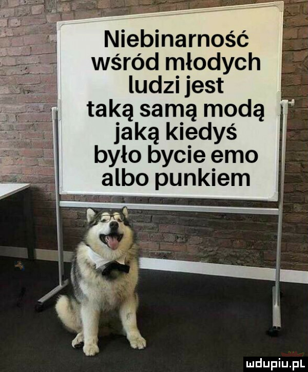 niebinarność wśród młodych ludzi jest taką samą modą jaką kiedyś było bycie emo albo punkiem