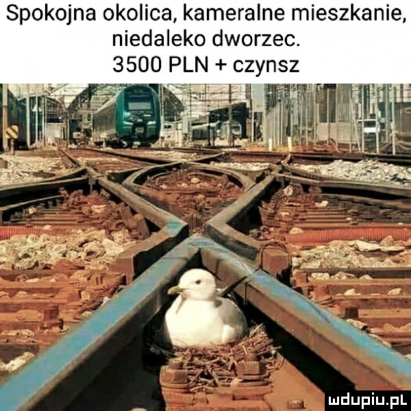 spokojna okolica kameralne mieszkanie. niedaleko dworzec.      pln czynsz