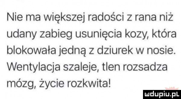 nie ma większej radości z rana niż udany zabieg usunięcia kozy która blokowała jedną z dziurek w nosie. wentylacja szaleje tlen rozsadza mózg życie rozkwita