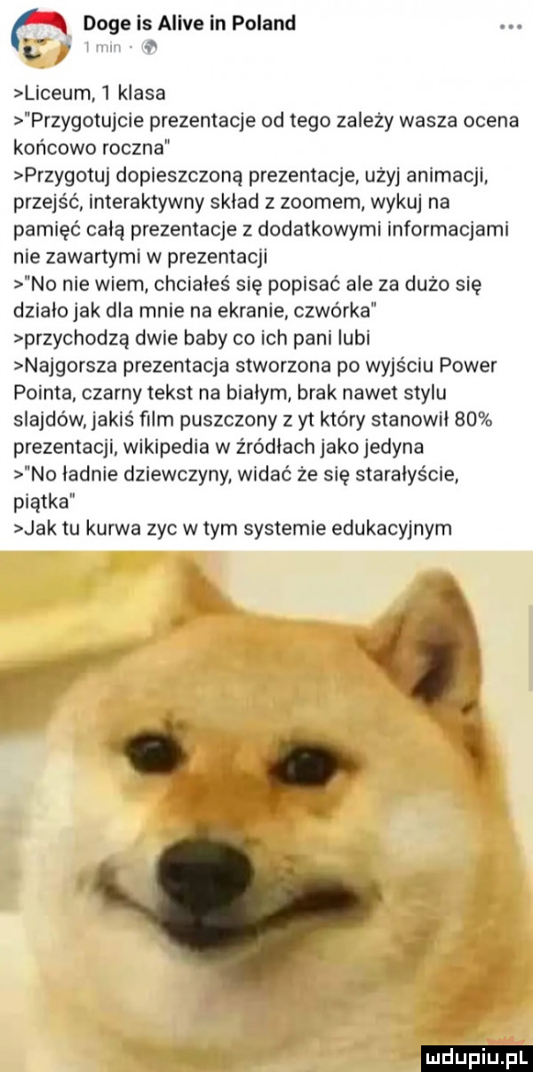 x dogeisaiiveinpoiand l i liceum   klasa przygotujcie prezentacje od tego zależy wasza ocena końcowo roczna przygotuj dopieszczoną prezentacje użyj animacji przej interaktywny skład z zoomem wykuj na pamięć cała prezentacje z dodatkowymi informacjami nie zawartymi w prezentacji no nie wiem chciałeś sie popisać ale za dużo się działa jak dla mnie na ekranie czwórka przychodzą dwie baby co ich pani iubi najgorsza prezentacja stworzona po wyjściu power pointa czarny tekst na białym brak nawet stylu slajdów jakiś ﬁlm puszczony z yt który stanowi    prezentacji wikipedia w źródłach jako jedyna no iadnie dziewczyny widać że się starałyście piątka jak tu kurwa zyc w tym systemie edukacyjnym