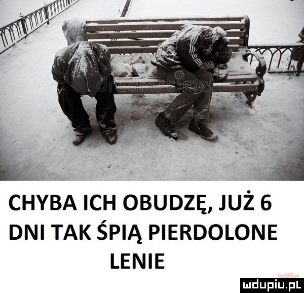 chyba ich obudzę już dni tak śpią pierdolone lenie