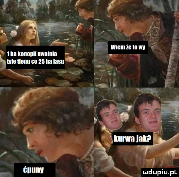 imimnniiiilni i r mew unmnam ó i
