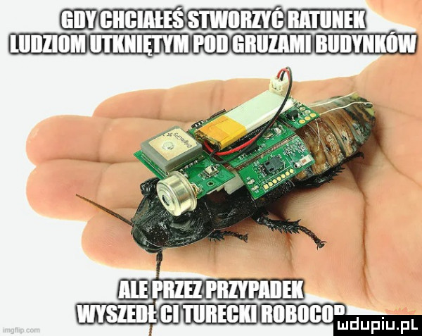biegi mie in l h. w