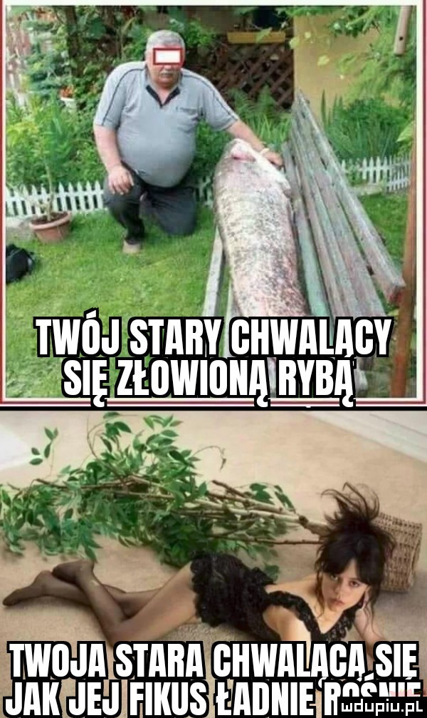twdjalstaitaghwai. aga sie jak jej fikiis  aiiiiieit