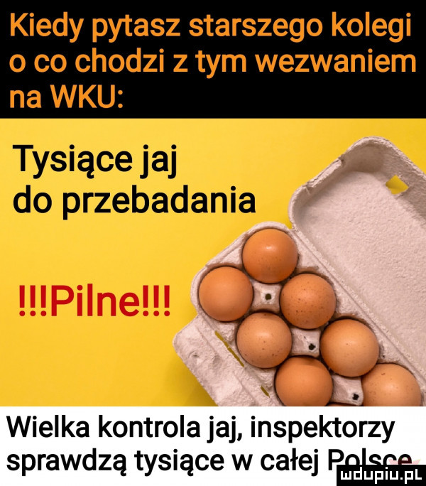 m wielka kontrola jaj inspektorzy sprawdzą tysiące w całej phi doping