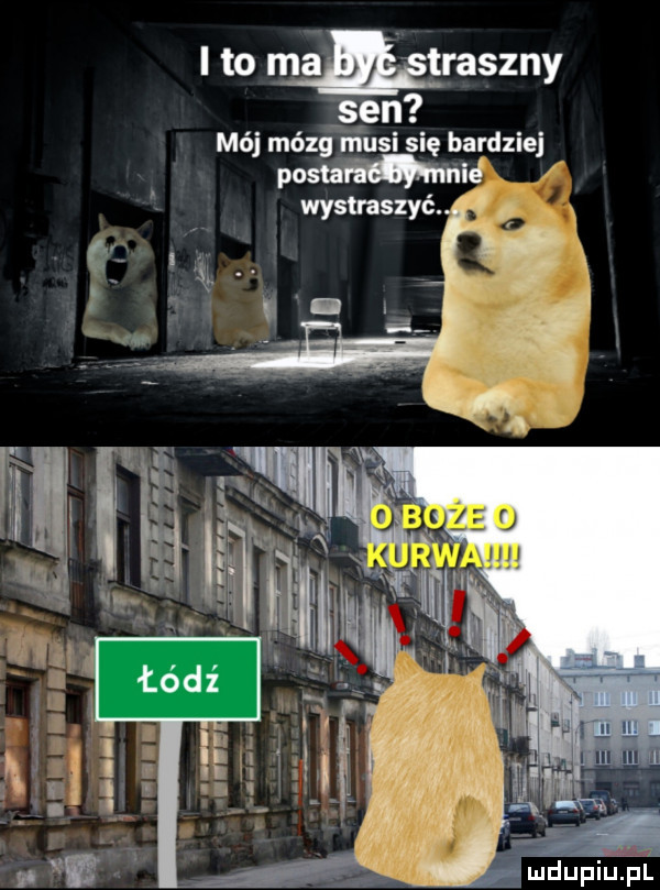 i to wanny jean mój mózg musi się bardziej mad wystraszyć