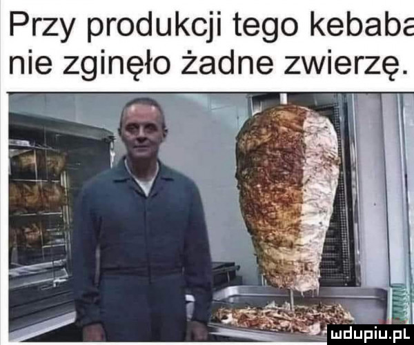 przy produkcji tego kebab nie zginęło żadne zwierzę. ćmdupiu. pl