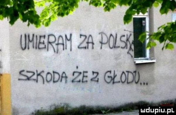 umierąhza ml   mm żez globe