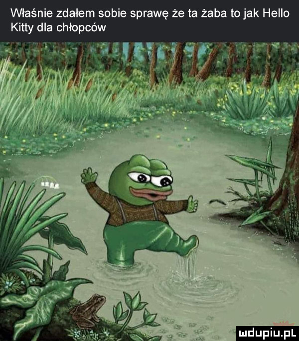 właśnie zdałem sobie sprawę że ta żaba to jak hello katty dla chłopców ludu iu. l