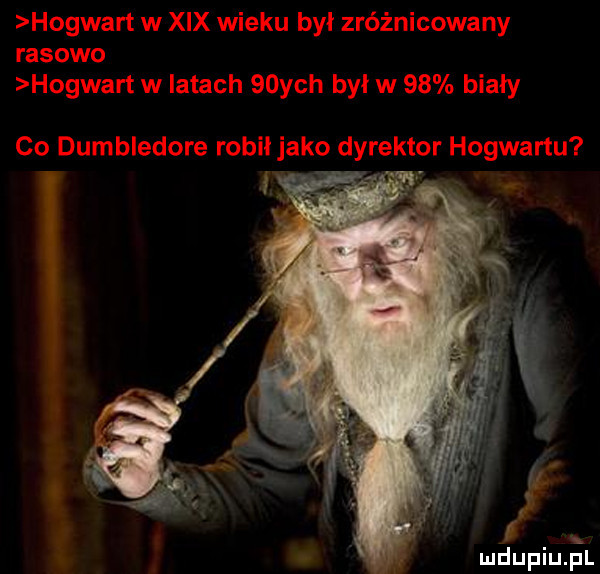 hogwart w xix wieku był zróżnicowany rasowo hogwart w latach   ych był w    biały co dumbledore robił jako dyrektor hogwartu h r v