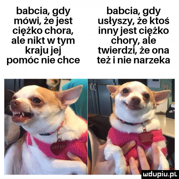 babcia gdy babcia gdy mówi że jest usłyszy że ktoś ciężko chora innyjest ciężko ale nikt w tym chory ale kraju jej twierdzi że ona pomóc nie chce też i nie narzeka