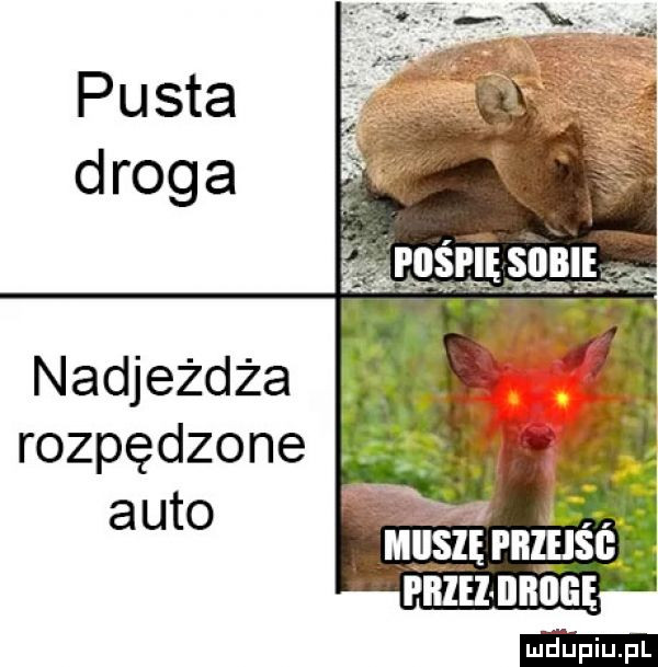 nadjeżdża rozpędzone auto