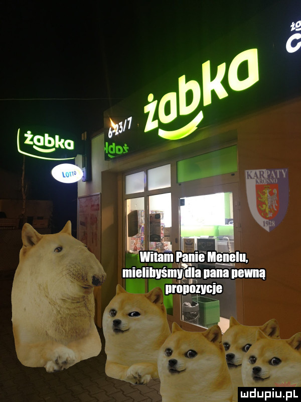 wdam panie halal. mialihvśmmilla nina nocna x