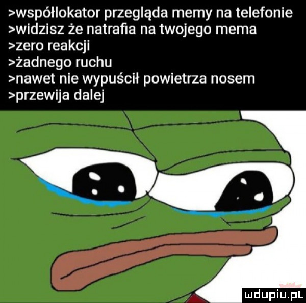 współlokator przegląda memy na telefonie widzisz że natrafia na twojego mema zero reakcji żadnego ruchu nawet nie wypuścił powietrza nosem przewija dalej