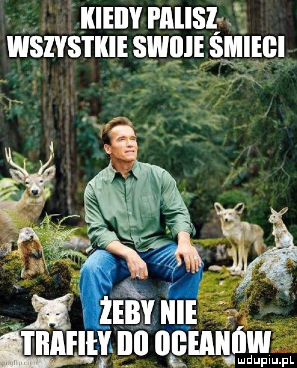 iiieiiy palisl wszystkie sci siiiiebi