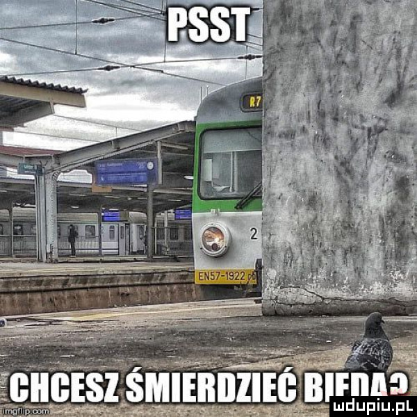 ęgiil ebi śmieiłillieg biom. w wam manów fl