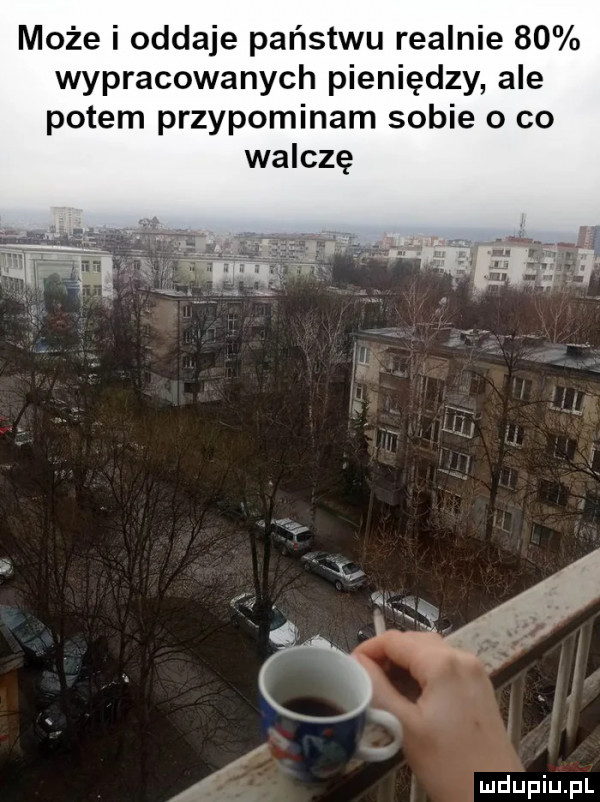 może i oddaje państwu realnie    wypracowanych pieniędzy ale potem przypominam sobie o co walczę