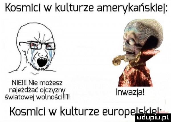 kosmici w kulturze amerykaﬁskiei nie nie możesz nalezdzać obczyzn inwazja śwlatowel wolności kosmlcl w kulturze europów