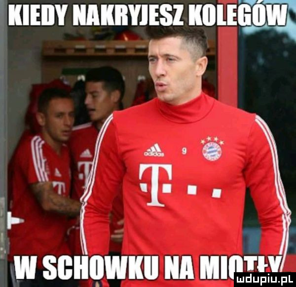 iieiiy iiiiiyiesi mam t. t i. w sgiięiwikii a mikę fl