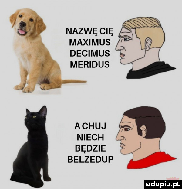 nazwęcę maxmnus decimus memdus achaj niech   będzie a belzedup ludu iu. l