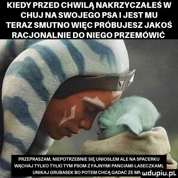 kiedy przed chwilą nakrzyczałeś w chuj na swojego psa i jest mu teraz smutno więc próbujesz jakoś racjonalnie d  niego przemówić przepraszam niepotrzebnie się uniosłem ale na spacerku wąchaj  mm tylki tam psom z fajnymi panciami laseczkaml unikaj grubasek so potem chcągadac ze mh