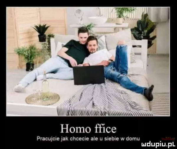 w mx adm a uu u. homo ﬁice praculcne jak chcecie ale u snelle w domu mduplu pl
