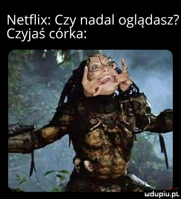 netflix cz nadal oglądasz czyjaś cór a fff e