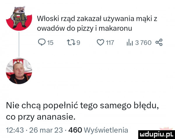 włoski rząd zakazał używania mąki   owadów do pizzy i makaronu     l        i     c   nie chcą popełnić tego samego błędu co przy ananasie.          mar        wyświetlenia