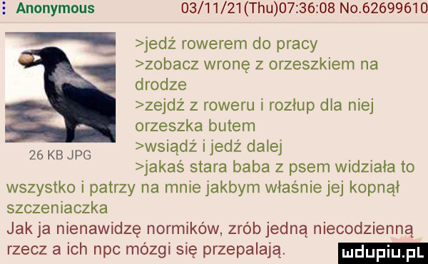 anonymous          tau          no          jedz rowerem do pracy zobacz wronę z orzeszkiem na drodze zejdź z roweru i rozłup dla niej orzeszka butem    kb we wsiądż ijedź dalej jakas stara baba z psem widziała to wszystko i patrzy na mnie jakbym właśnie jej kopnął szczeniaczka jakla nienawidzę normików zróbjedną niecodzienną rzecz a ich nbc mózgi się przepalają