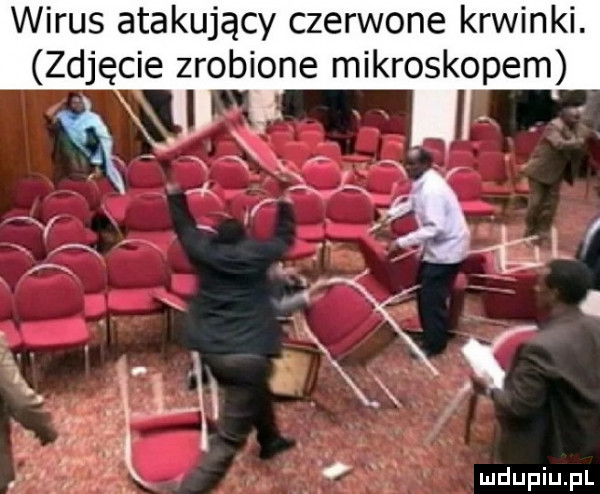 wirus atakujący czerwone krwinki. zdjęcie zrobione mikroskopem