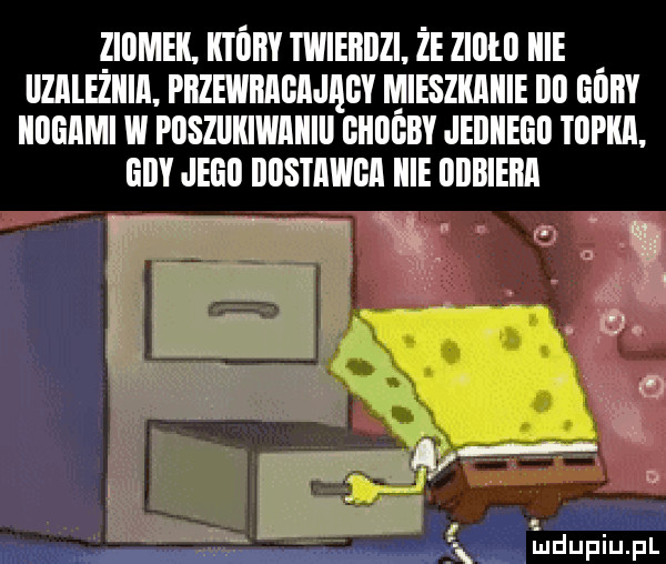 ziiimek. ktory twierdzi że zillłll icie llzillezliill. przewmgijągy mieszkanie illl iliiiy lllllillml w pllslekiwiiiiill ghiigby jeiiliegli zupka. giby jego iﬂstﬂwﬂﬂ icie iibieiiii