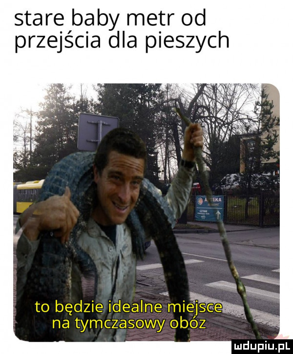 stare baby metr od przejścia dla pieszych
