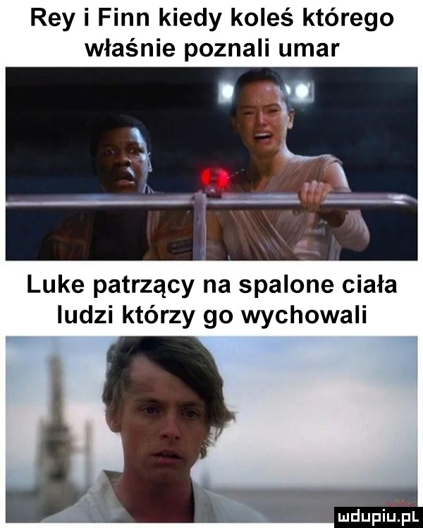 rey i finn kiedy koleś którego właśnie poznali udar luke patrzący na spalone ciała ludzi którzy go wychowali