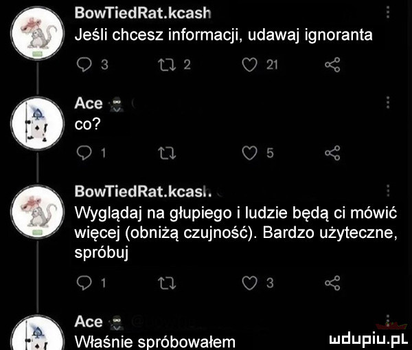 bowtiedrat kcash jeśli chcesz informacji udawaj ignoranta    u  om abe co g i u r ę bowtiedrat kaa i. wygląda na głupiego i ludzie będą ci mówić więcej obniżą czujność. bardzo użyteczne spróbuj   ll li abe. właśnie spróbowałem udupiu pl