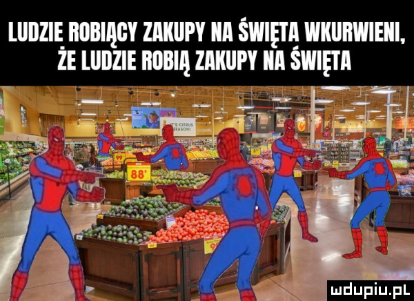 liiilzie robią zakupy ica świnia wkiiiiwieiii. że liiilzie robię zakupy iii święta