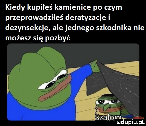 kiedy kupiłeś kamienice po czym przeprowadziłeś deratyzacje i dezynsekcje ale jednego szkodnika nie możesz się pozbyć s zalkom. mduplu pl