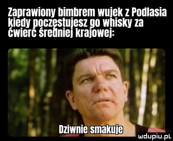 zaprawionv nimnrem wiiieii z podlasia kienvp iiiigzesiiii lesz    wiiisiiy za iii iiiaiowiii gwiei g sie. abakankami mdupupr