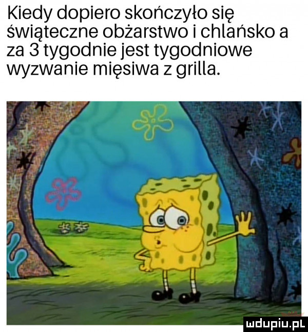 kiedy dopiero skończyło się świąteczne obżarstwo i chlańsko a za   tygodnie jest tygodniowe wyzwanie mięsiwa z grilla