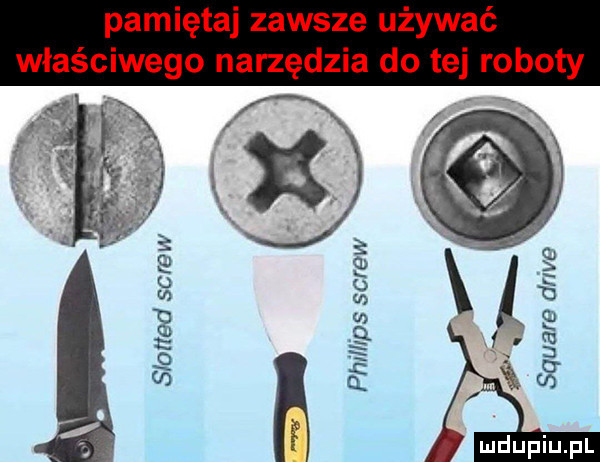 pamiętaj zawsze używać właściwego narzędzia do tej roboty square drive slotted skrew xv phillips sire