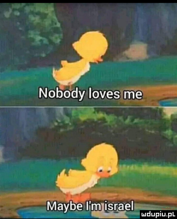 nobody www      maybe limlisfa ell mdupiupl
