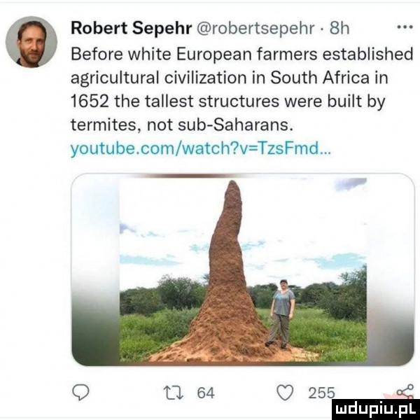 robert sepehr robertsepehr  h before white european farmers established agricultural civilization in south africa in      tee tallest structures were built by termites not sub saharans. youtube com watah v tstmd. o w      mi ludupiu pl