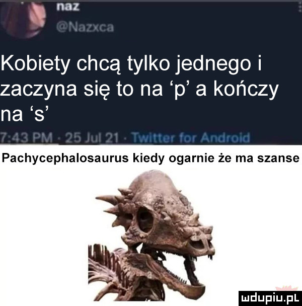 n ncl   kobiety chcą tylko jednego i zaczyna się to na p a kończy na s pachycephalosaurus kiedy ogarnie że ma szanse