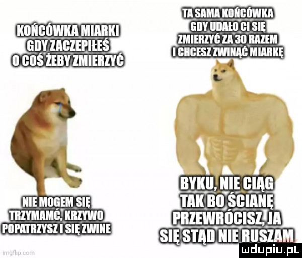 się saab nie iiiiśiam