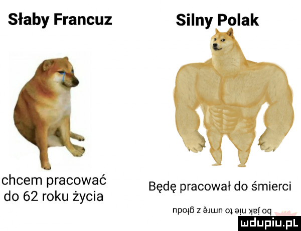 słaby francuz silny palak. cycem pracować b d rabował do śmierci do    roku życia ę ę p npmﬁ z   an   mu xelaq ludu iu. l