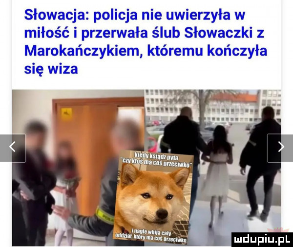 słowacja policja nie uwierzyła w miłość i przerwała ślub słowaczki z marokańczykiem któremu kończyła się wiza ludu iu. l