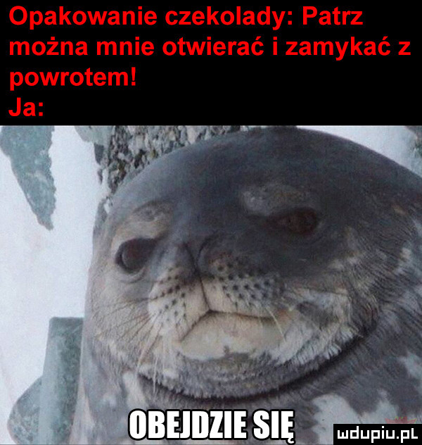 nbeanię zsię lmdupiu pl