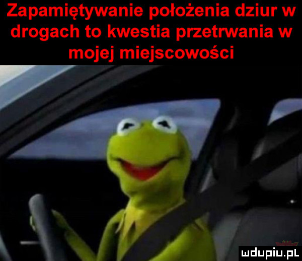 zapamiętywanie położenia dziur w drogach to kwestia plzetnnania w mojej miejscowości