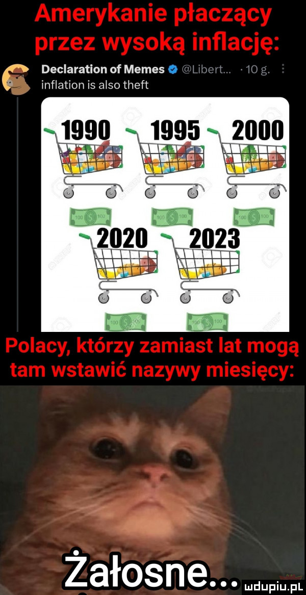 declaration of memes o inflation is anso theft uzo      ewa żałosne