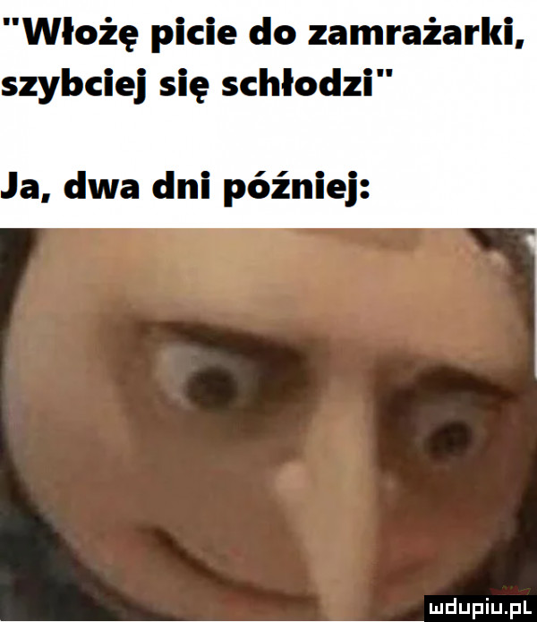 włożę picie do zamrażarki. szybciej się schłodzi ja dwa dni później